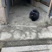 ヒメ日記 2026/03/17 16:28 投稿 夕奈【ユウナ】 輝女