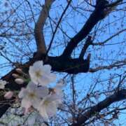 ヒメ日記 2026/03/24 07:53 投稿 夕奈【ユウナ】 輝女