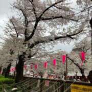 ヒメ日記 2026/04/01 19:44 投稿 夕奈【ユウナ】 輝女