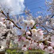 ヒメ日記 2026/04/08 23:03 投稿 夕奈【ユウナ】 輝女