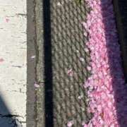 ヒメ日記 2026/04/16 09:47 投稿 夕奈【ユウナ】 輝女