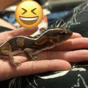 ヒメ日記 2026/02/14 12:27 投稿 れん club さくら日本橋店