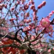 れん れん（clubさくら日本橋店） club さくら日本橋店