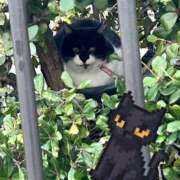 ヒメ日記 2026/03/30 09:06 投稿 れん club さくら日本橋店