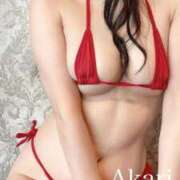 ヒメ日記 2025/11/19 20:45 投稿 あかり 中洲秘密倶楽部