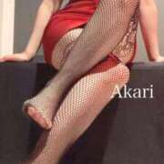 ヒメ日記 2025/12/01 22:35 投稿 あかり 中洲秘密倶楽部