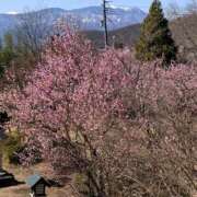 ヒメ日記 2026/03/05 23:13 投稿 あゆな 五反田人妻ヒットパレード（シンデレラグループ）