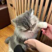 まり まりだよ〜⬛ 越谷発デリヘル 生イキッ娘！