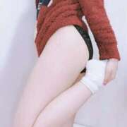 ことり 大募集中です😽💞 Club Paradise（クラブパラダイス）