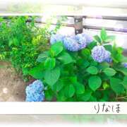 りなほ 宜しくお願いします 熟女デリヘル秘宝館Z