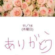 ヒメ日記 2025/11/15 01:02 投稿 静香-しずか【FG系列】 ほんつま千葉店（FG系列）