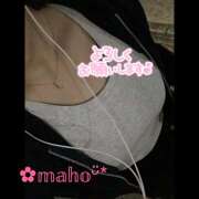 ヒメ日記 2025/11/14 23:06 投稿 まほ 風鈴（ふうりん）