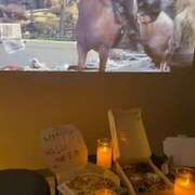 ヒメ日記 2025/11/03 14:47 投稿 まあや 上野　御徒町オトナのハンドメイド