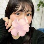 ヒメ日記 2025/11/24 15:37 投稿 まあや 上野　御徒町オトナのハンドメイド