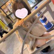 ヒメ日記 2025/11/12 13:42 投稿 桃白えま JKリフレ東京 秋葉原本店