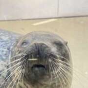 ヒメ日記 2026/01/28 15:14 投稿 なるみ スピード梅田店