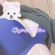 ヒメ日記 2025/11/15 19:04 投稿 しいな 部活（ぶかつ）