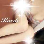 ヒメ日記 2026/02/09 22:04 投稿 橘かえで -NEO-皇帝別館（中央街）