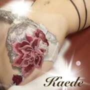 ヒメ日記 2026/02/28 12:32 投稿 橘かえで -NEO-皇帝別館（中央街）