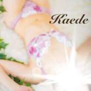 ヒメ日記 2026/03/27 17:26 投稿 橘かえで -NEO-皇帝別館（中央街）