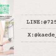 ヒメ日記 2026/04/03 10:57 投稿 橘かえで -NEO-皇帝別館（中央街）