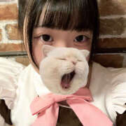 ここね 明日から3日間、水戸に行きます?? ハピネス水戸