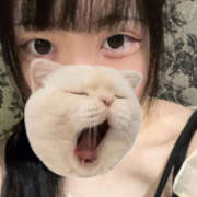 ここね 今日も1日ここねと一緒に? ハピネス水戸