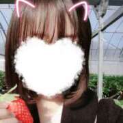 ヒメ日記 2026/01/06 09:10 投稿 みるく アート姫