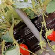 ヒメ日記 2026/02/08 23:44 投稿 みるく アート姫