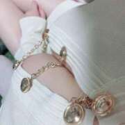 ヒメ日記 2025/11/06 15:49 投稿 朝飛まり ブルーバード