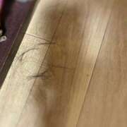 ヒメ日記 2025/11/06 18:44 投稿 朝飛まり ブルーバード