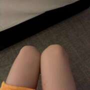 ヒメ日記 2025/11/08 04:14 投稿 朝飛まり ブルーバード