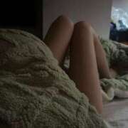 ヒメ日記 2025/11/08 05:24 投稿 朝飛まり ブルーバード