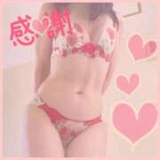 ヒメ日記 2025/11/10 13:20 投稿 泉菜々子 五十路マダム宇都宮店(カサブランカグループ)