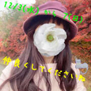 ヒメ日記 2025/11/26 14:44 投稿 泉菜々子 五十路マダム宇都宮店(カサブランカグループ)