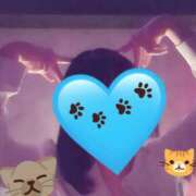 ヒメ日記 2026/02/22 18:42 投稿 ゆき アキバの放課後