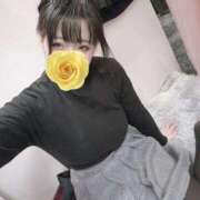 ヒメ日記 2025/12/29 16:20 投稿 きょうか バカンス学園　谷九校