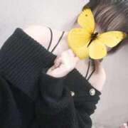 ヒメ日記 2025/12/30 12:40 投稿 きょうか バカンス学園　谷九校