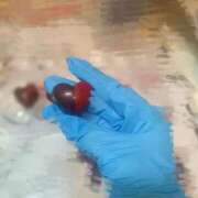 きょうか 手作りチョコ🍫 バカンス学園　谷九校