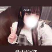 ヒメ日記 2025/11/08 20:18 投稿 こむぎ 白いぽっちゃりさん仙台店