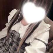 こむぎ ꒰ しゅっ❕ ꒱ 白いぽっちゃりさん仙台店