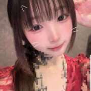 ヒメ日記 2025/11/12 11:22 投稿 春うらら CLUB39（クラブサンキュー）