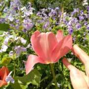 ヒメ日記 2026/04/06 09:06 投稿 せいら 完熟ばなな梅田