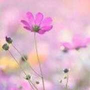 ゆみこ 昨日のありがとう☆ 完熟ばなな梅田