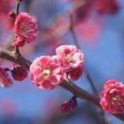 ヒメ日記 2026/02/05 19:34 投稿 ゆみこ 完熟ばなな梅田