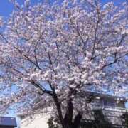 ヒメ日記 2026/03/28 17:34 投稿 ゆみこ 完熟ばなな梅田