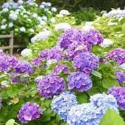 ヒメ日記 2026/06/21 16:30 投稿 ゆみこ 完熟ばなな梅田