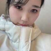 ヒメ日記 2025/11/15 10:15 投稿 ♦なつみ♦ 翡翠の夢