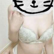 ヒメ日記 2025/11/03 21:36 投稿 猫 お客様満足度NO.1デリヘル！ 秘密倶楽部 凛 千葉