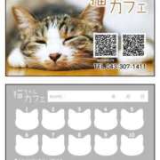 猫 お知らせ お客様満足度NO.1デリヘル！ 秘密倶楽部 凛 千葉